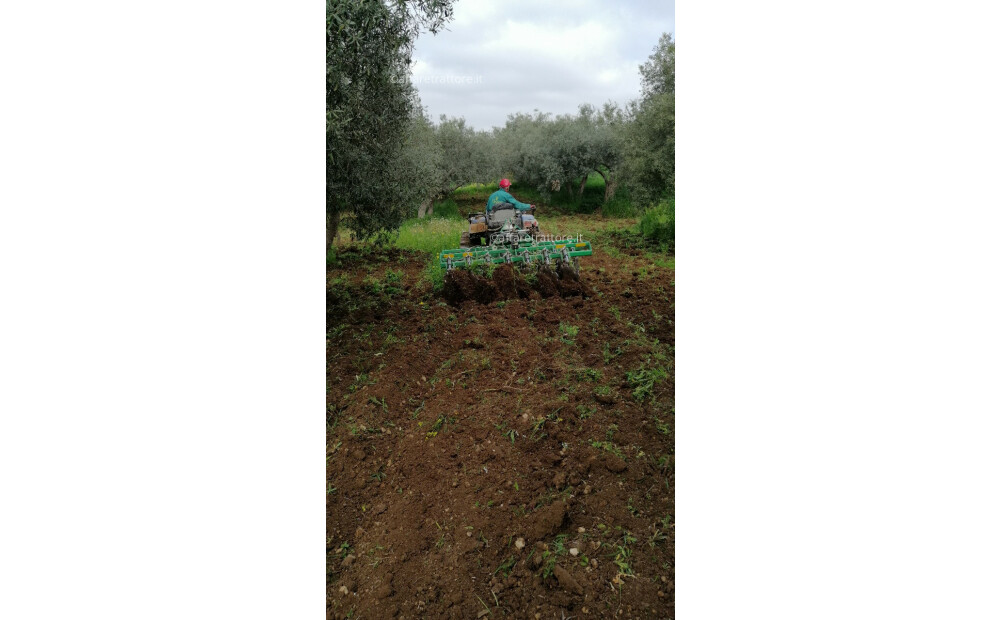 Vitale Project Avior AVI-14L, 2,35m, 700kg per Frutteto, Vigneto e Pieno Campo Nuovo - 2