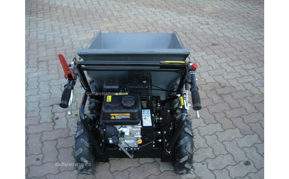 Motocarriola Gommata GIOR 300 Dumper 4x4 Nuovo - 3