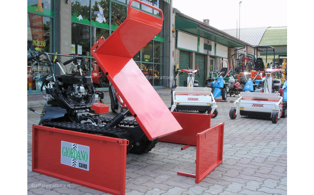 Motocarriola Cingolata GIOR 600 Zanetti Dumper Nuovo - 9