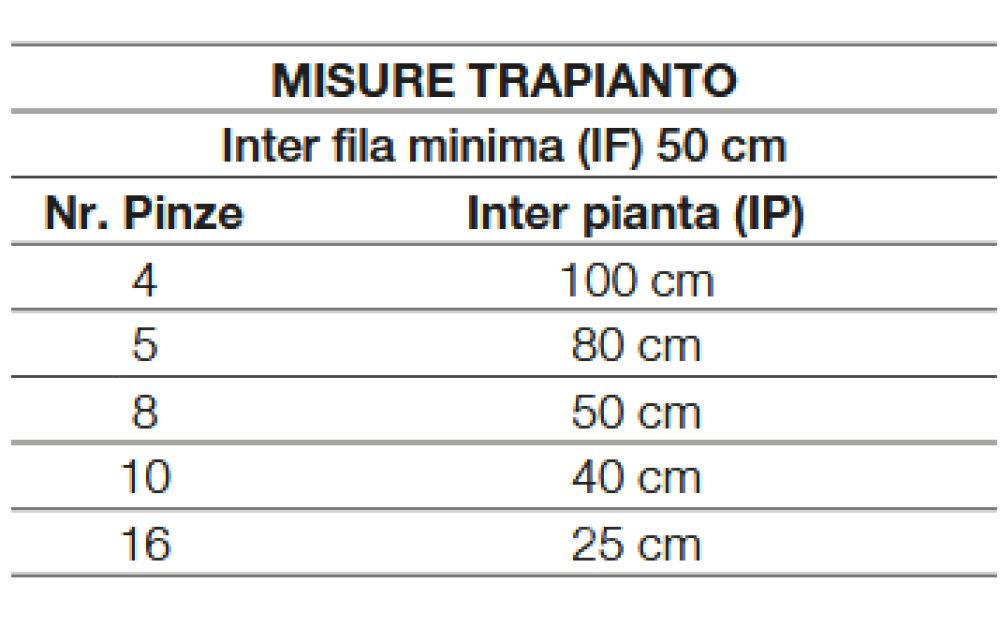 Spapperi TP PIANTATALEE IDRAULICA Neuf - 2