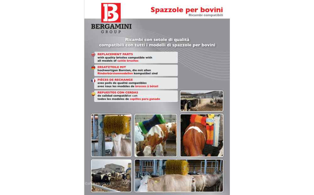 SPAZZOLA PER BOVINI COMPATIBILI A SUEVIA PROFICOW - 2