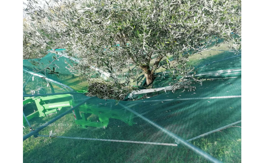 B.P. METALMECCANICA Ombrello raccolta olive trainato Nuovo - 2