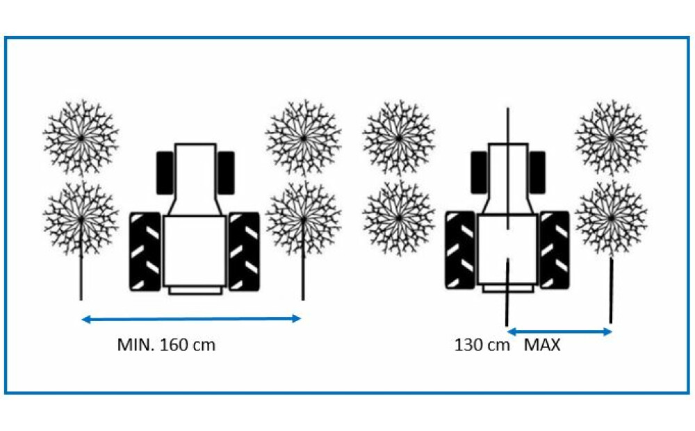 Spedo Serie Mercurio Neuf - 3