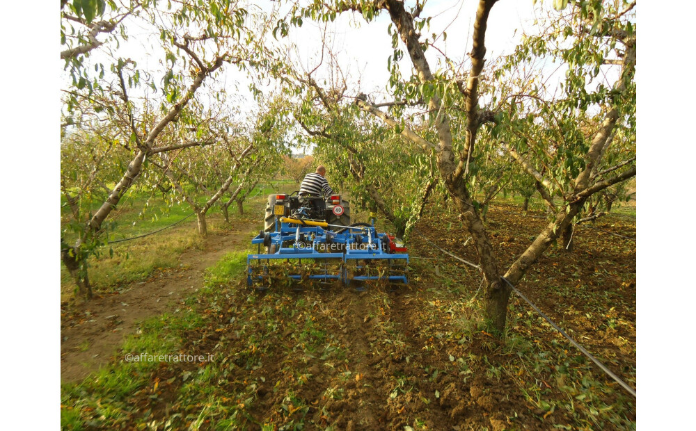 Arrizza San Salvo Eco Neuf - 1