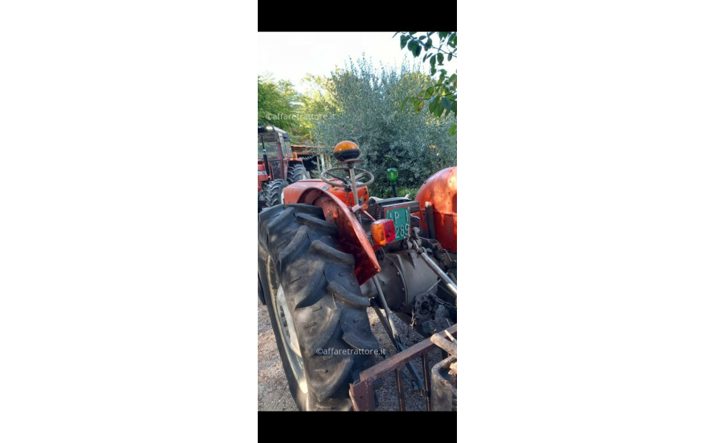 Massey Ferguson 135 Neuf - 3