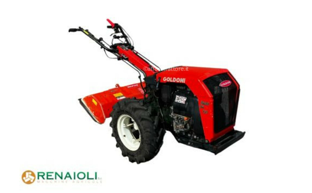 MOTEUR CULTIVATEUR goldoni SPECIAL LUX 150 + ACCESSOIRES GOLDONI (CB10989) 2008 Occasion - 1