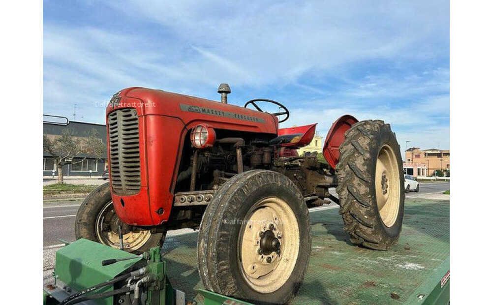 Massey Ferguson MF 35 Usagé - 1