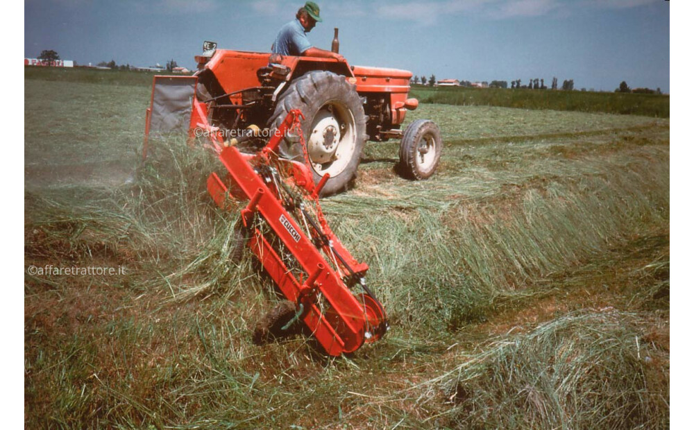 Cucchi RANGHINATORE PER ARGINI E FOSSATI Nuovo - 1