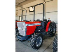 Massey Ferguson 374 D'occasion